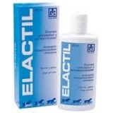Shampoo Elactil