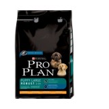 ProPlan Puppy Robust Large Breed