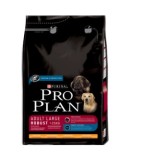 ProPlan Adult Large Breed Robust
